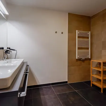 Daire Luxury Tauern Walchen Kaprun 1 Piesendorf